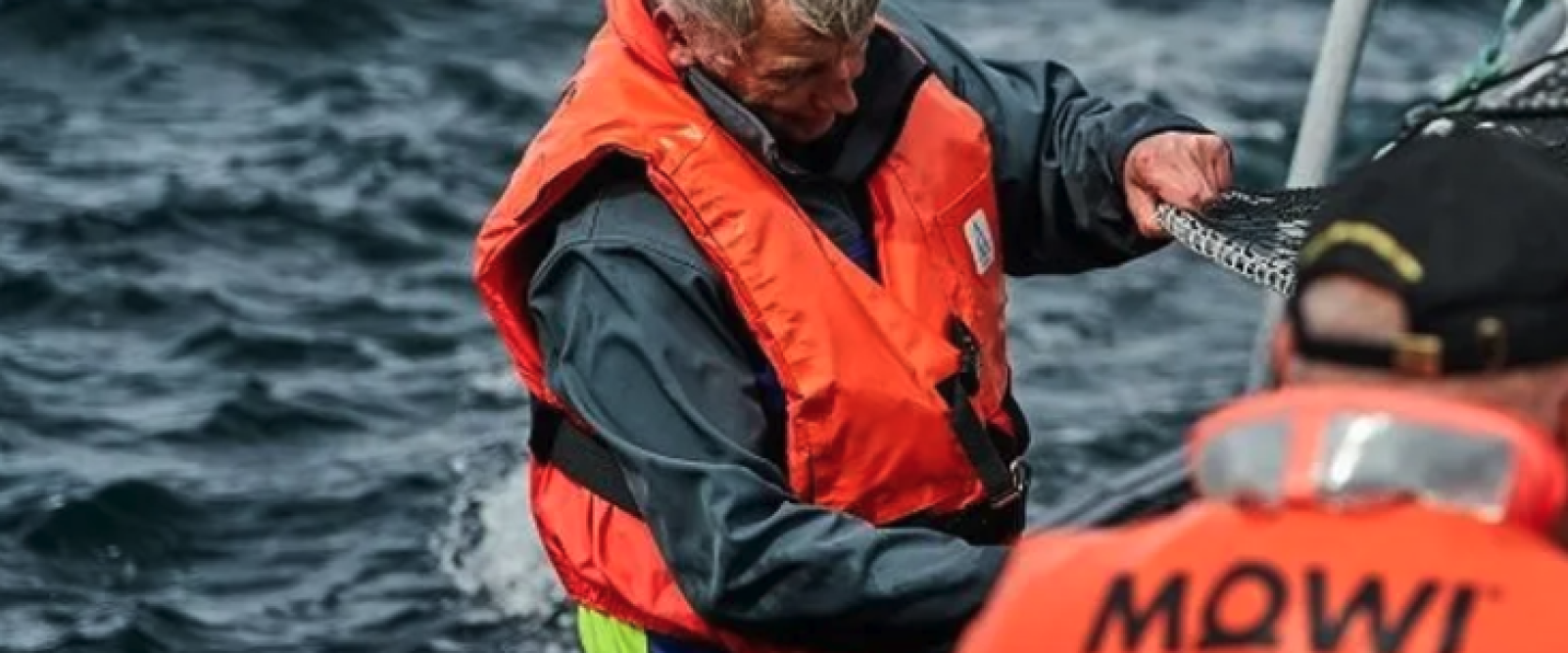 SMA formula cargo grave contra Mowi por ampliar piscicultura en Llanquihue sin autorización ambiental