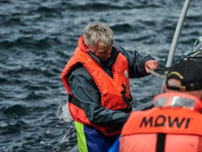 SMA formula cargo grave contra Mowi por ampliar piscicultura en Llanquihue sin autorización ambiental