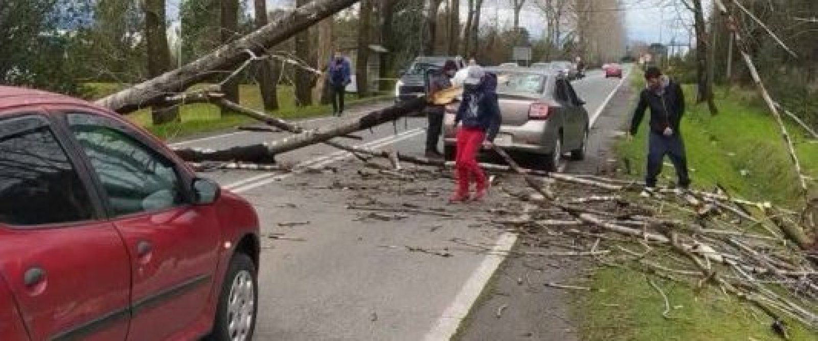 Puerto Montt registra rachas de viento de hasta 103 km/h en plena llegada del sistema frontal
