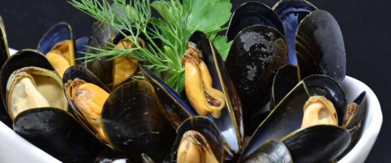 Los 5 sabores que hacen única a la Región de Los Lagos: descubre los alimentos que son orgullo de Chile