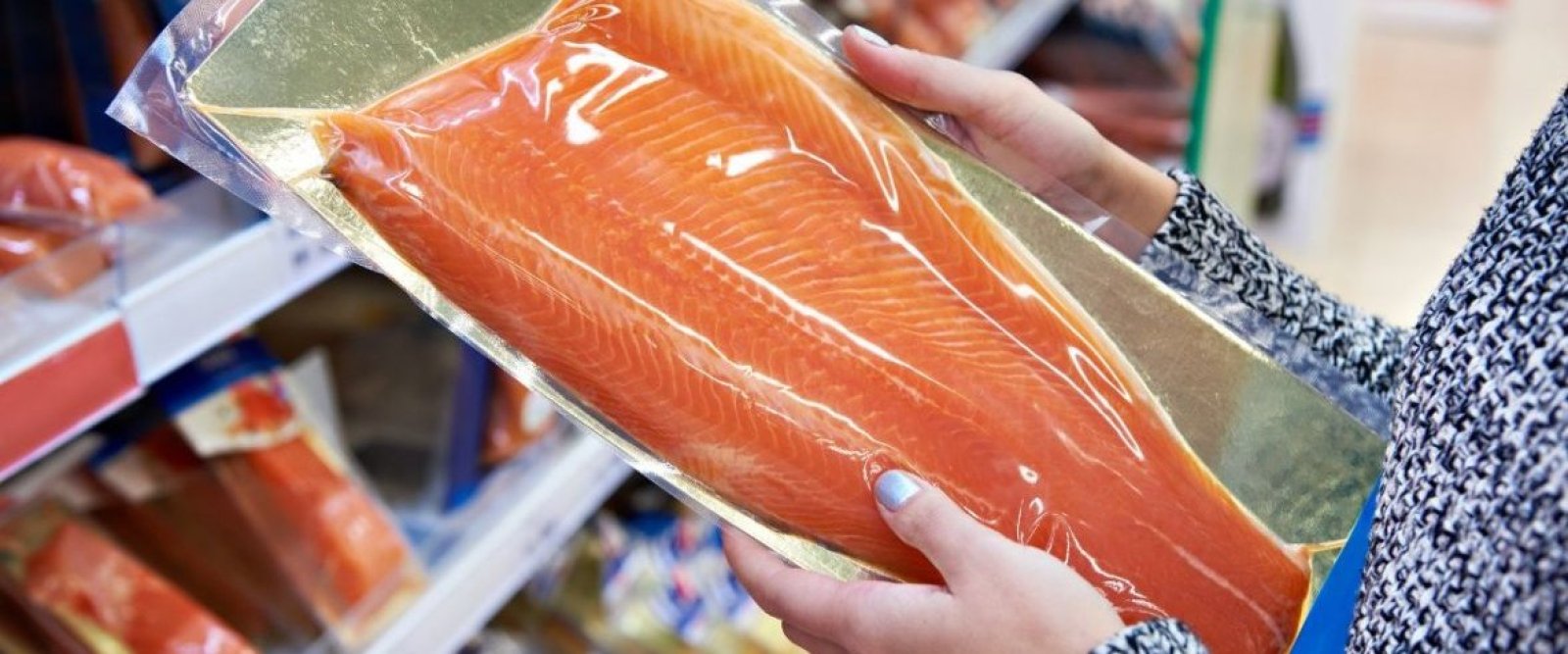 Descubren fraude con salmón chileno en EE.UU.: empresa lo vendía como si fuera escocés