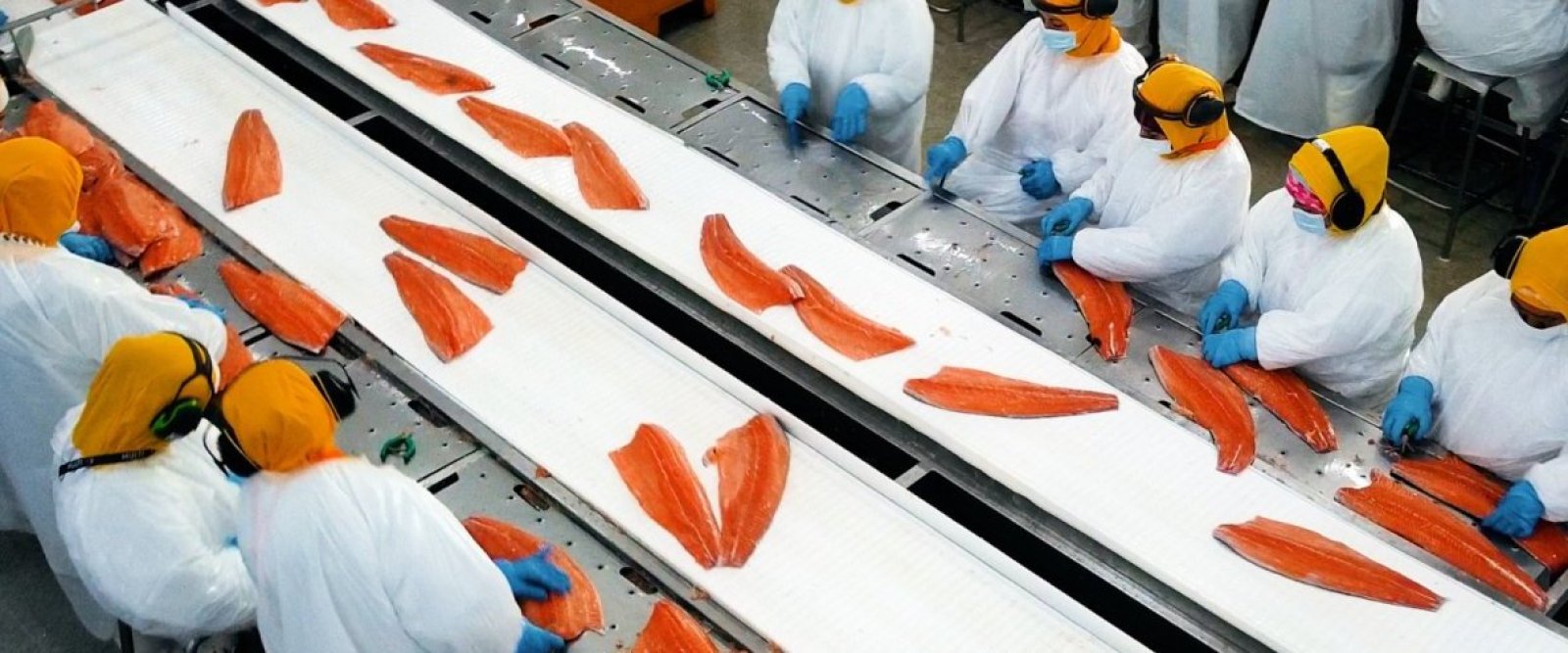 Estados Unidos impone arancel al salmón chileno y SalmonChile advierte impacto para ambos países