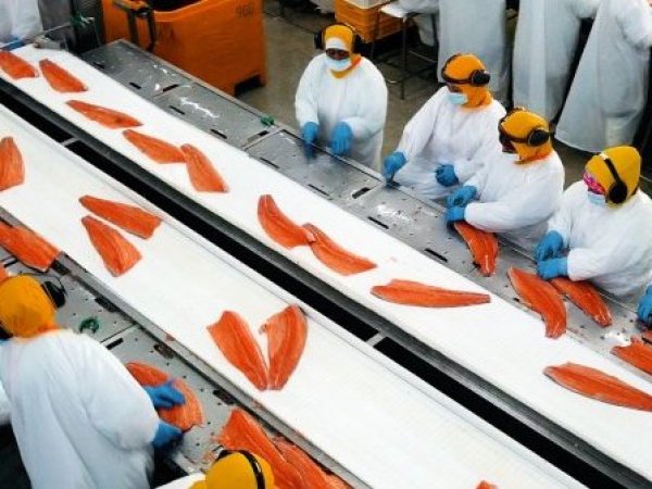 Estados Unidos impone arancel al salmón chileno y SalmonChile advierte impacto para ambos países