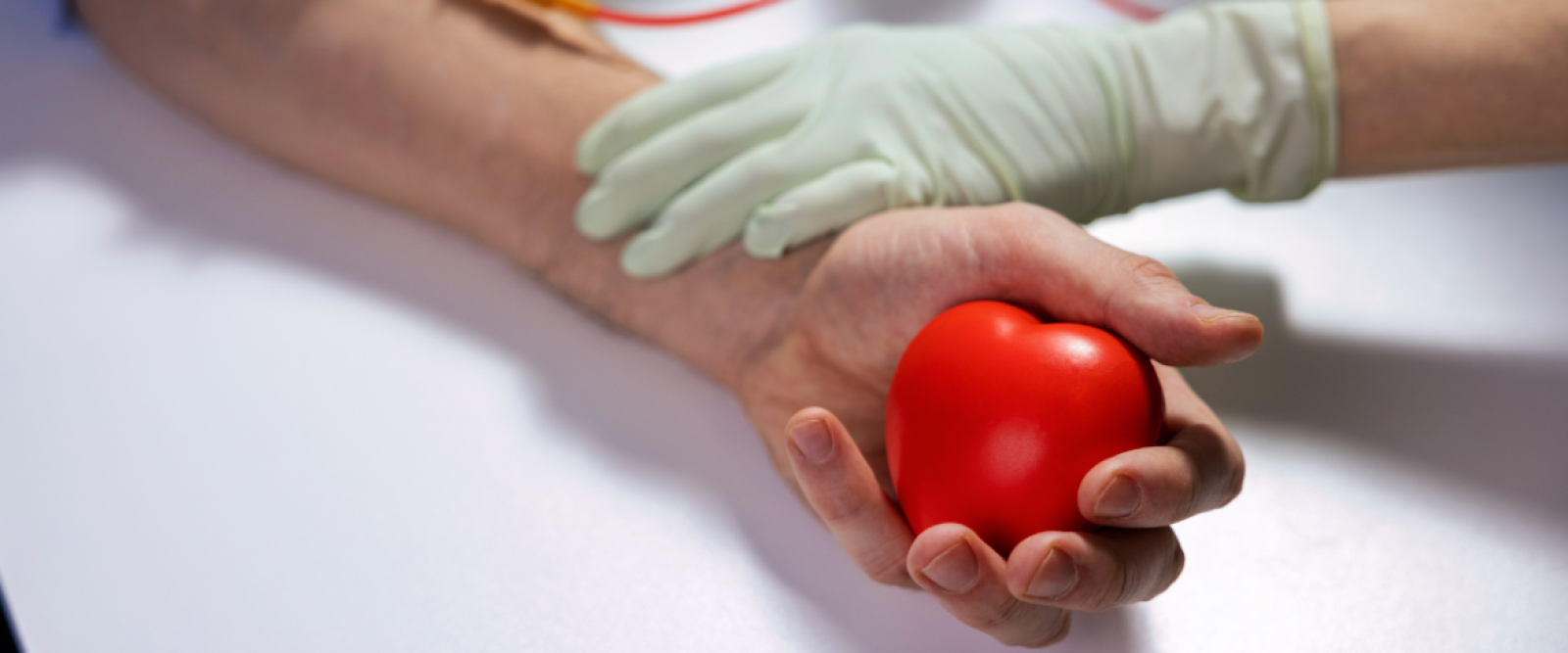 ¿Has donado sangre alguna vez? Casa del Donante de Puerto Montt busca nuevos voluntarios y explica cómo hacerlo