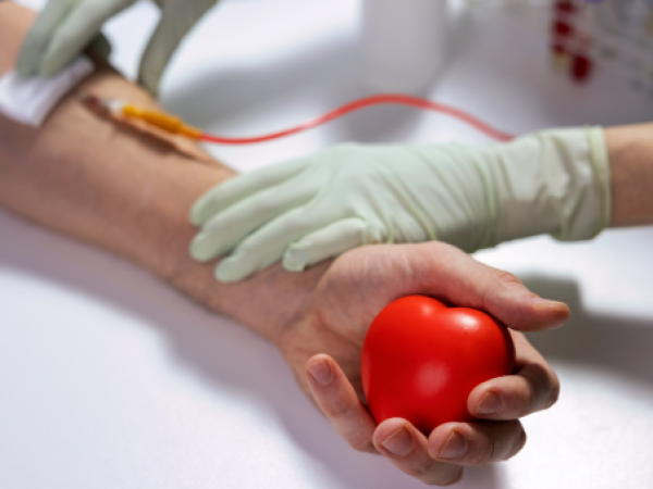 ¿Has donado sangre alguna vez? Casa del Donante de Puerto Montt busca nuevos voluntarios y explica cómo hacerlo