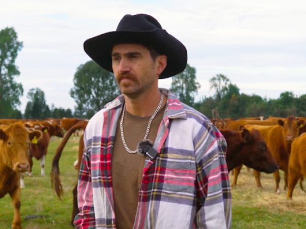 Carne regenerativa hecha en el sur de Chile: la historia de El Reinal, el emprendimiento que apuesta por producir sin dañar la naturaleza