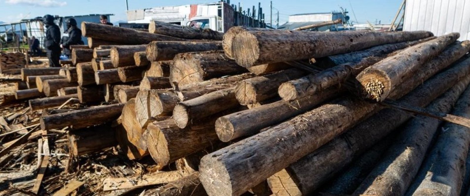 Descubren aserradero ilegal en toma de Alerce Norte: operaba sin permisos en terreno fiscal