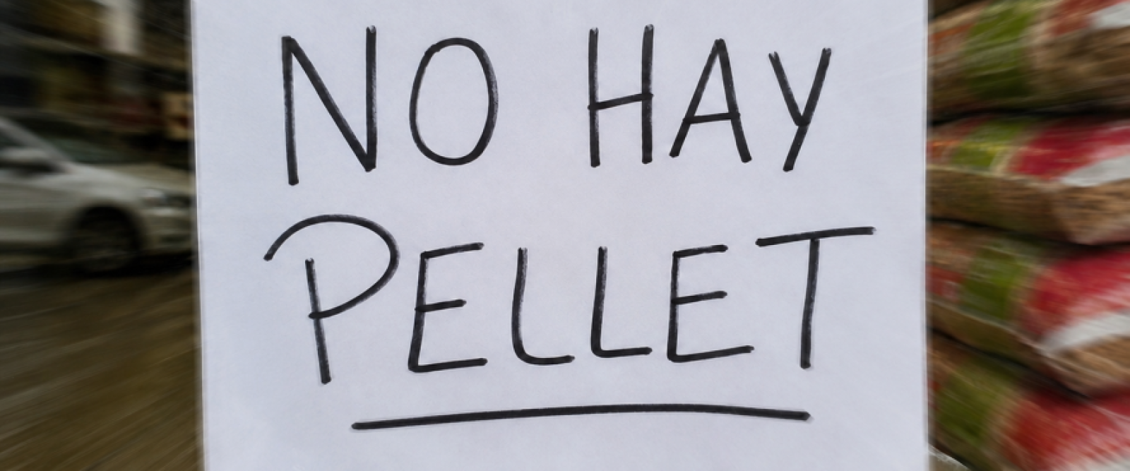 ¿Por qué falta pellet en Puerto Montt? Escasez, alta demanda y problemas de abastecimiento tensionan el invierno