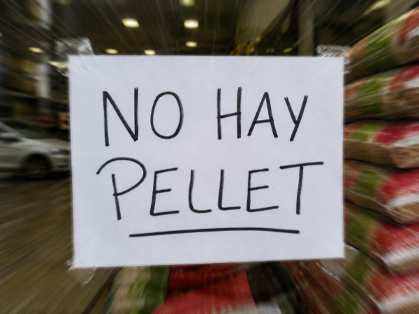 ¿Por qué falta pellet en Puerto Montt? Escasez, alta demanda y problemas de abastecimiento tensionan el invierno