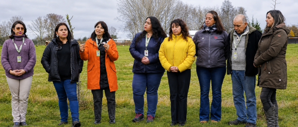 Emprendedores de Los Lagos se unen para demostrar que la economía circular también puede ser un buen negocio