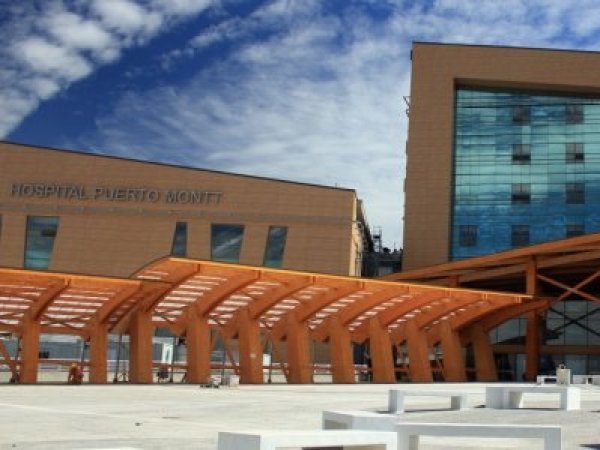 Matrón que habría llamado “Rosa Melano” a embarazada es desvinculado del Hospital de Puerto Montt