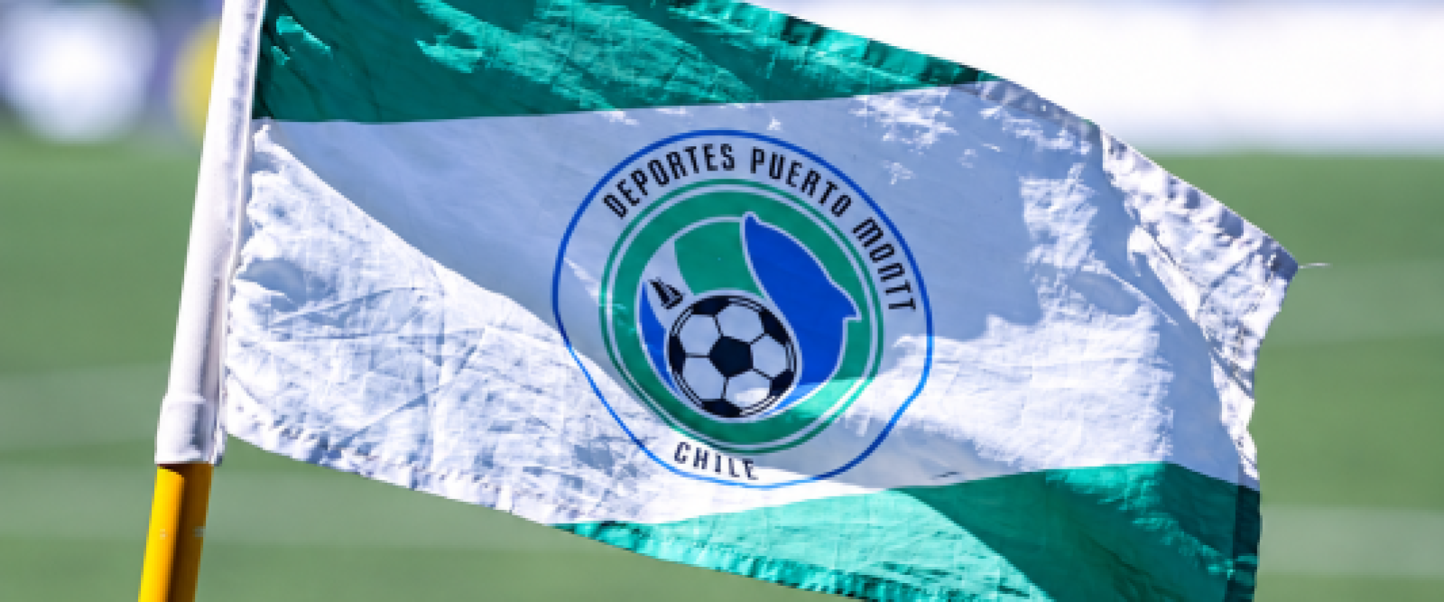 Tribunal de la ANFP rechaza denuncia contra Deportes Puerto Montt y desafilia a San Marcos de Arica