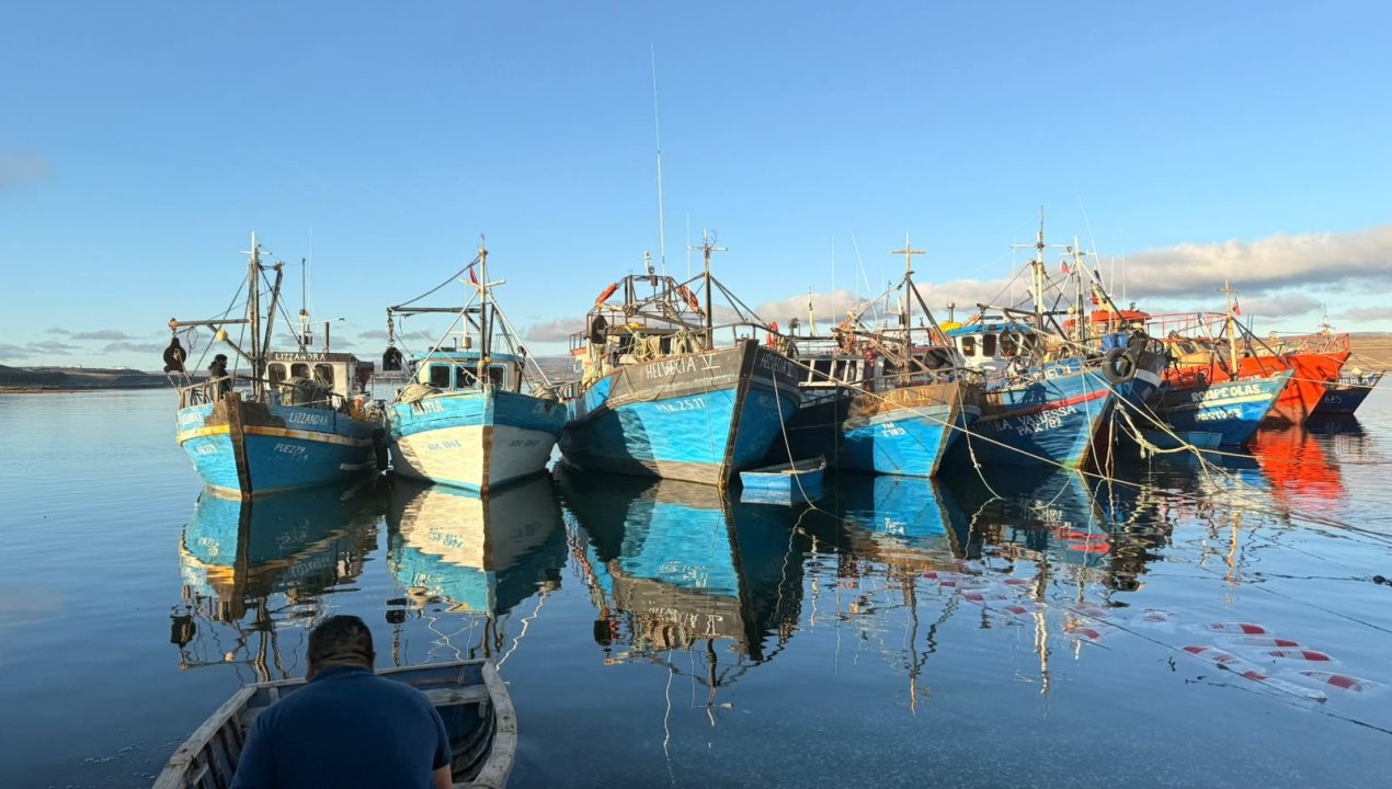 /seremi-de-salud-autoriza-extraccion-de-almejas-en-bahia-de-porvenir-al-no