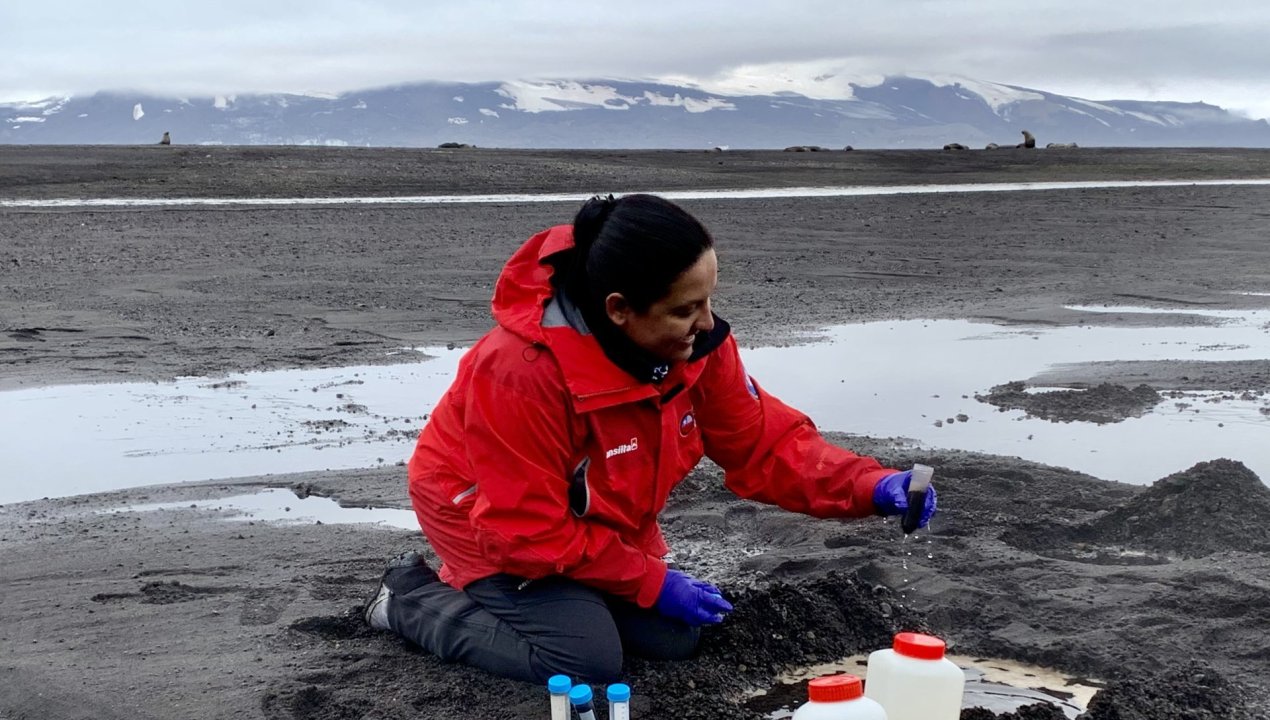 /descubren-en-bacterias-antarticas-un-aditivo-natural-con-potencial-de