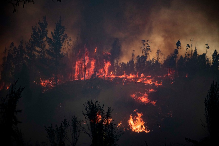 /onemi-declaro-alerta-roja-para-dos-incendios-forestales-en-la-region-de-valparaiso