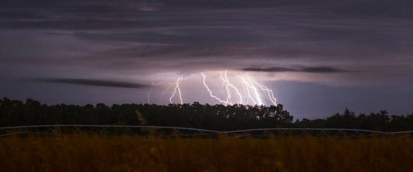 Anuncian tormentas eléctricas en 7 regiones del país: Estos son los sectores