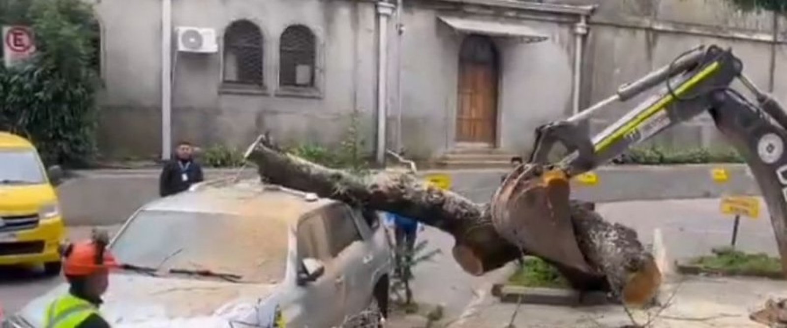 Árbol de 20 metros cayó sobre auto del alcalde de Concepción