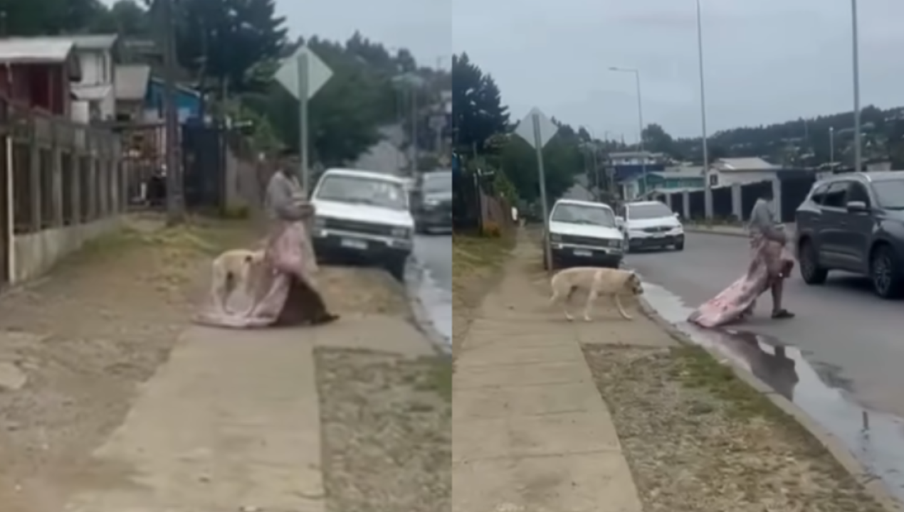 /regionales/denuncian-en-tome-a-sujeto-en-situacion-de-calle-por-acto-indebido-con-un