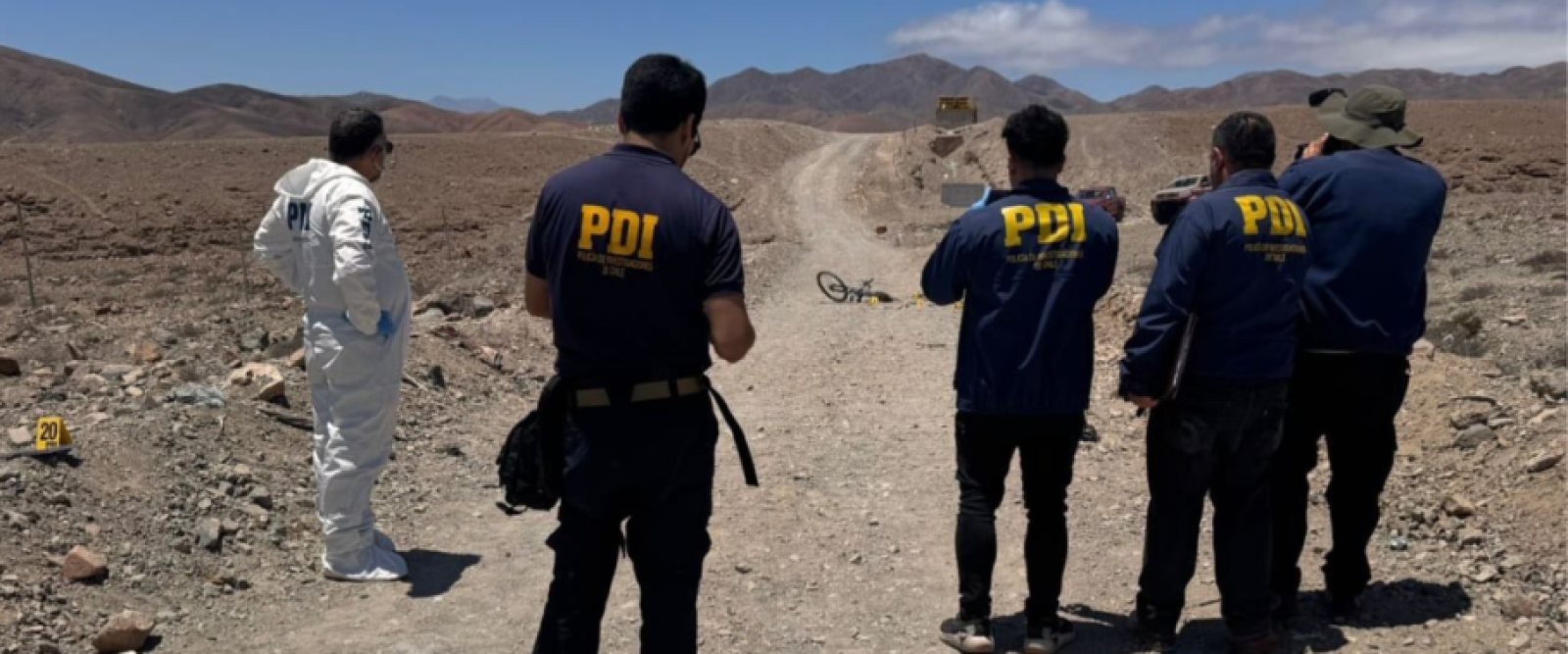 Hombre fue hallado muerto presuntamente por ataque de jauría de perros en ruta a Vallenar