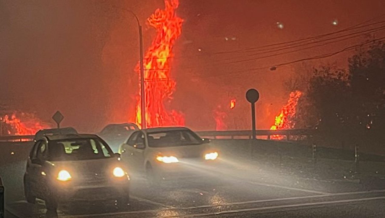 /actualidad/denuncian-saqueo-del-hospital-de-lirquen-en-medio-de-incendios-forestales