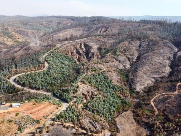 Monocultivos y emergencias: el Congreso acelera proyectos para prevenir desastres