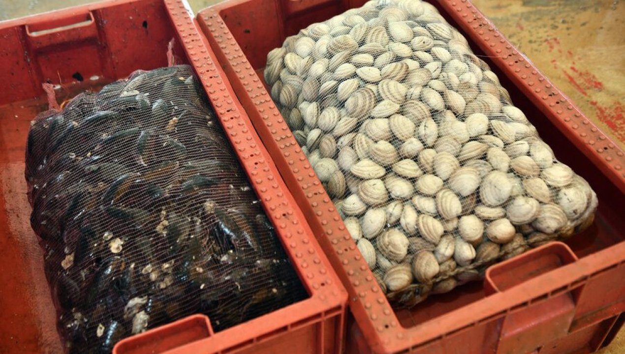 /actualidad/el-instituto-de-salud-publica-reforzo-el-llamado-a-prevenir-intoxicaciones