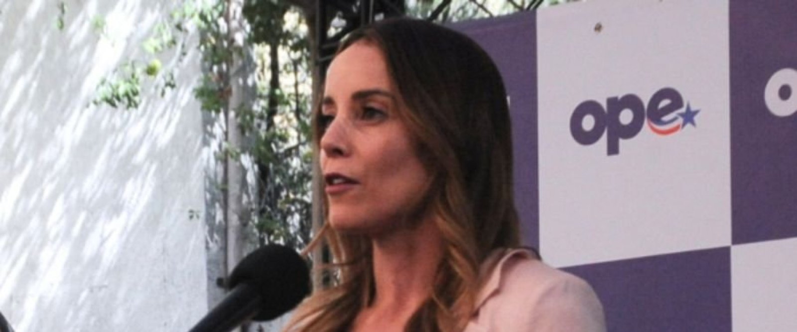 Mara Sedini, confirmó que el Ejecutivo no avanzará en la realización de una auditoría internacional