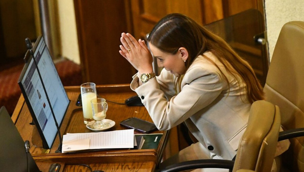 /actualidad/abren-investigacion-contra-camila-flores-senadora-se-habria-apropiado-de