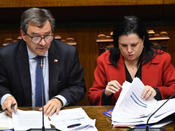 Oposición anuncia interpelación contra ministra de Seguridad Trinidad Steinert
