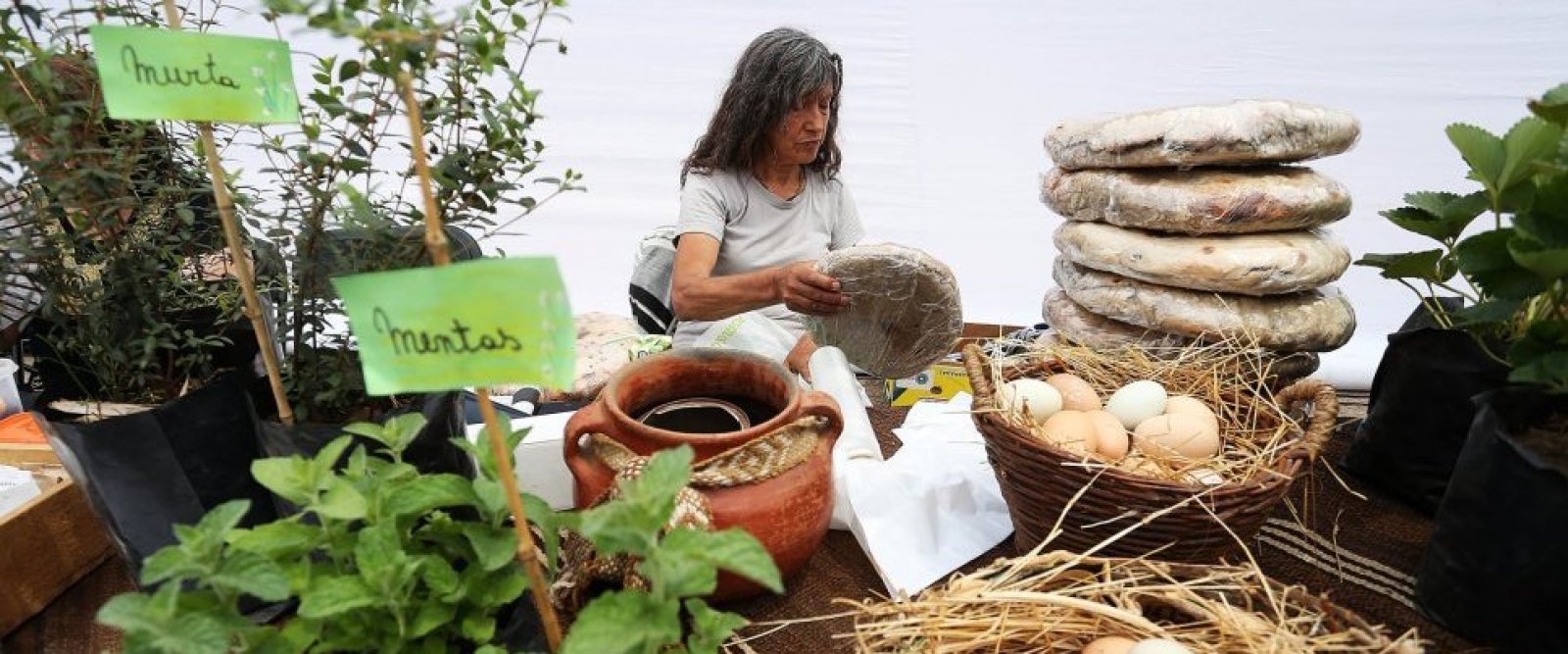 Gobierno pone fin al Programa Mujeres Rurales después de 34 años