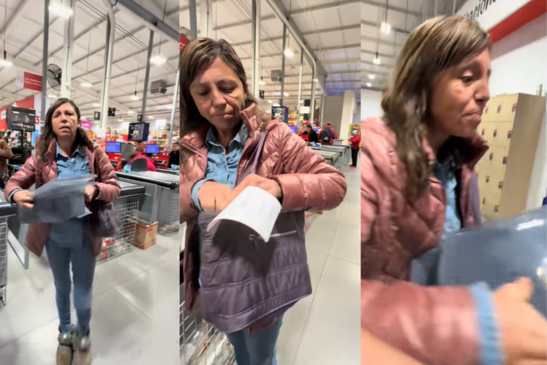 /magazine/llevo-una-pura-carnecita-el-robo-mas-educado-de-chile-se-hace-viral-en